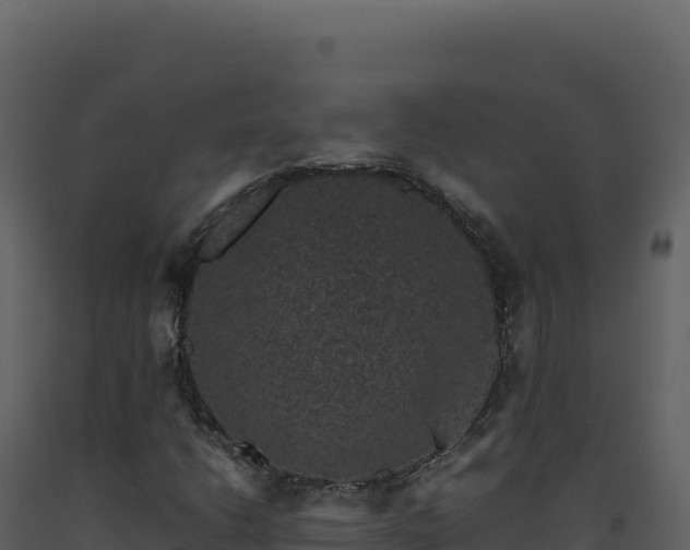 X0000093491206200710191220
