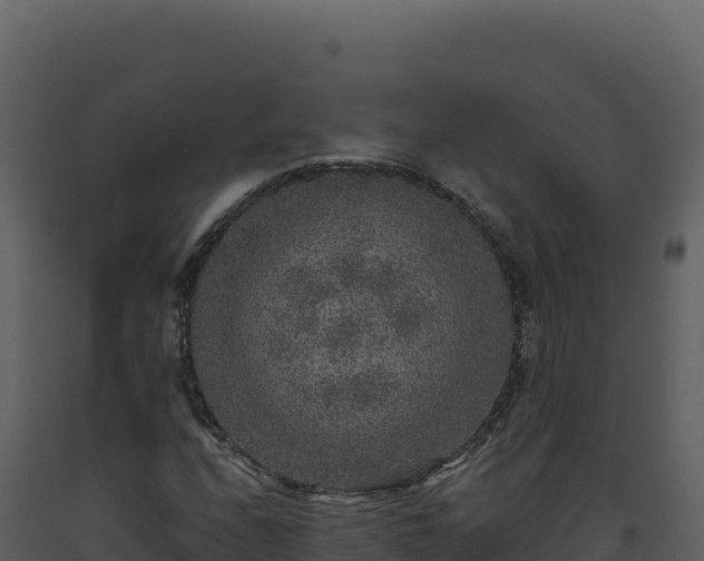 X0000093491208200710191220