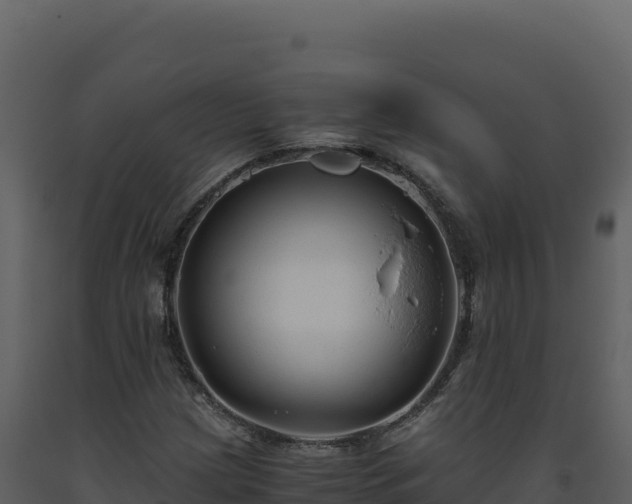 X0000093491209200710191220