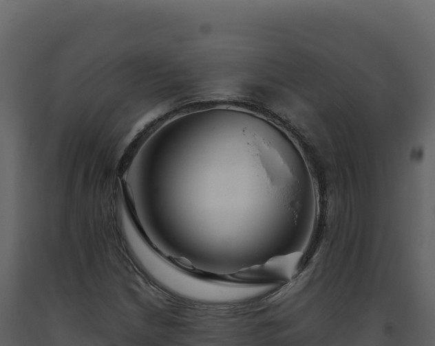 X0000093491210200710191220