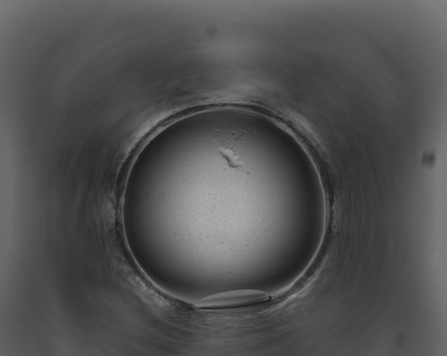 X0000093491212200710191220