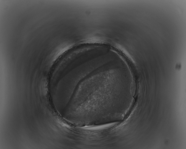 X0000093491213200710191220