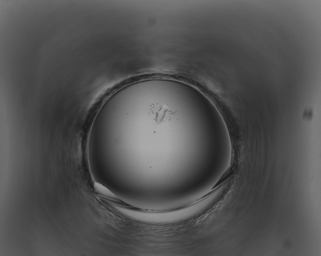 X0000093491214200710191220