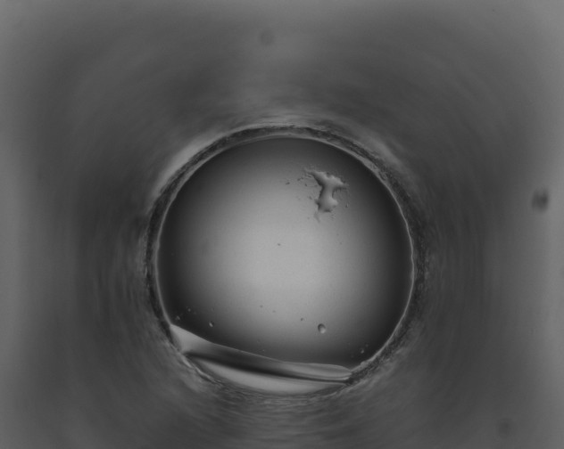 X0000093491216200710191220