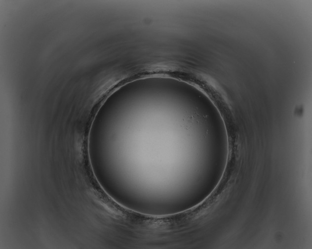 X0000093491217200710191220