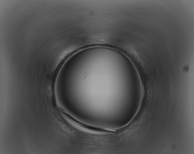 X0000093491218200710191220