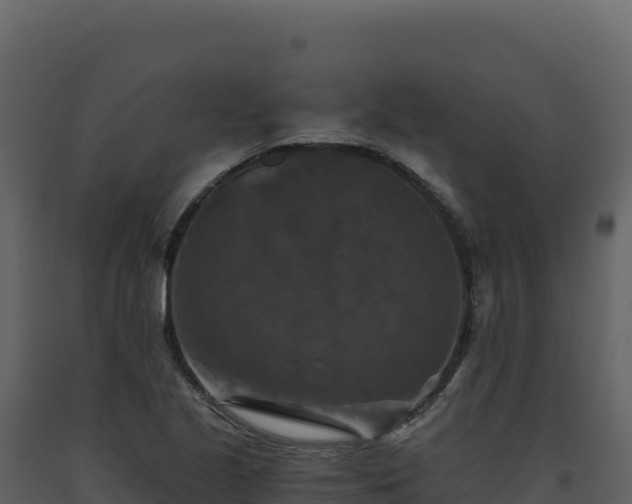 X0000093491221200710191220