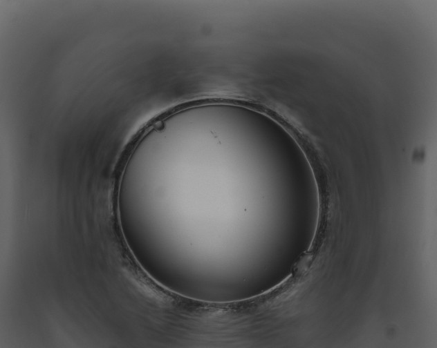 X0000093491222200710191220