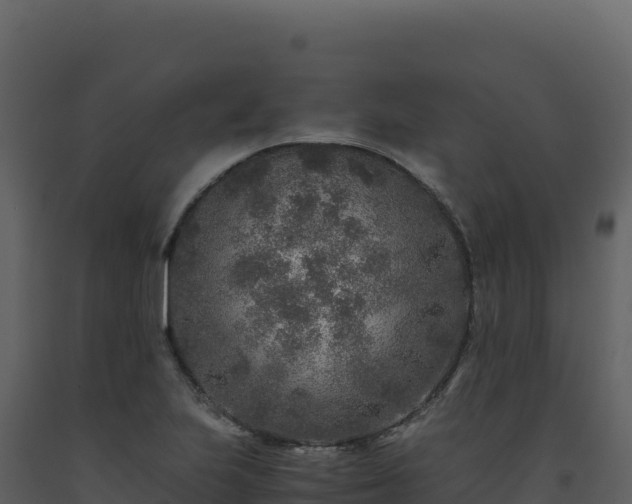 X0000093491223200710191220