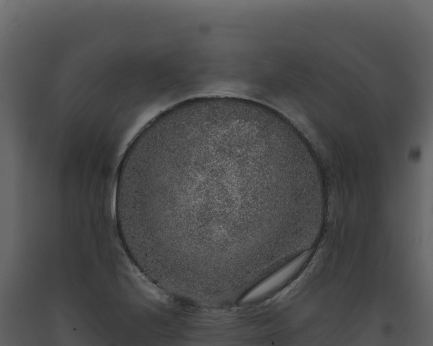 X0000093491224200710191220