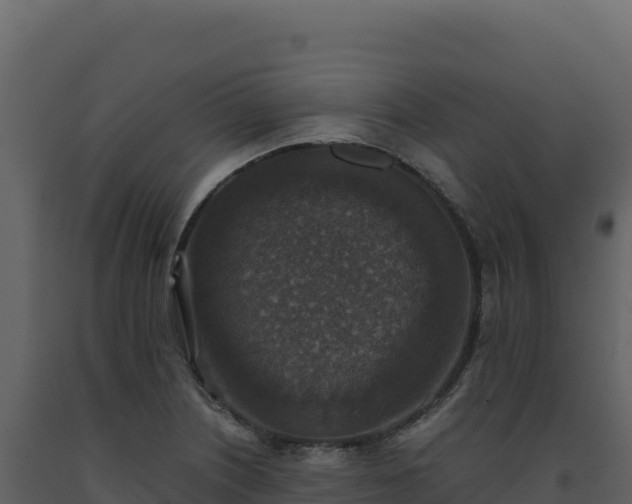 X0000093491226200710191220