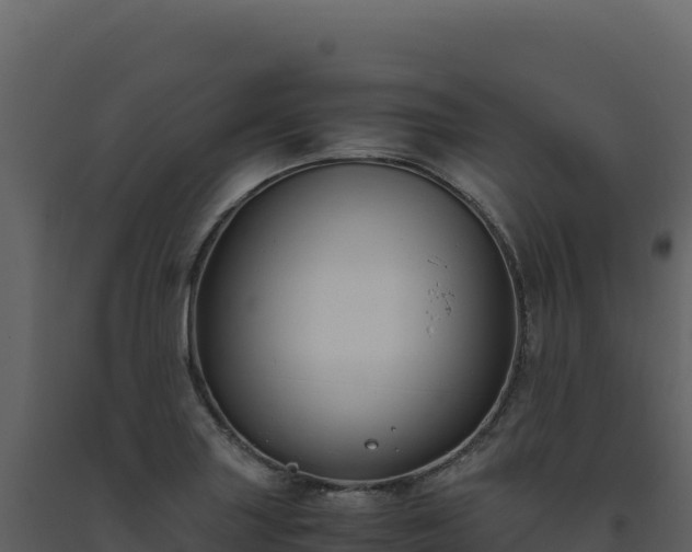 X0000093491227200710191220
