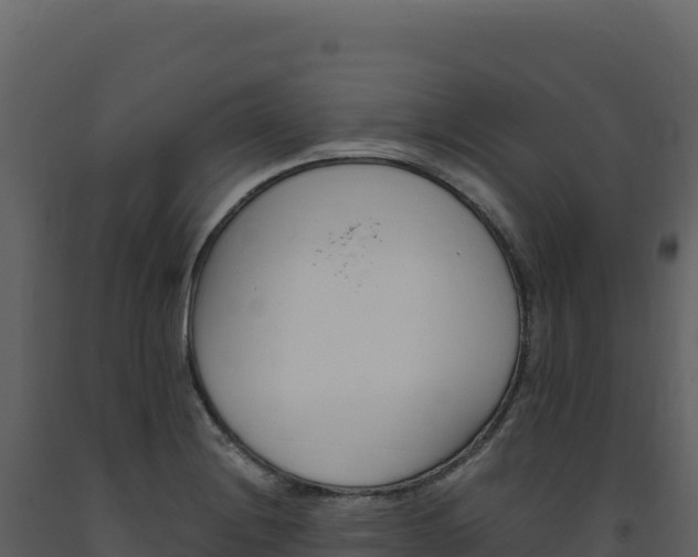 X0000093491228200710191220