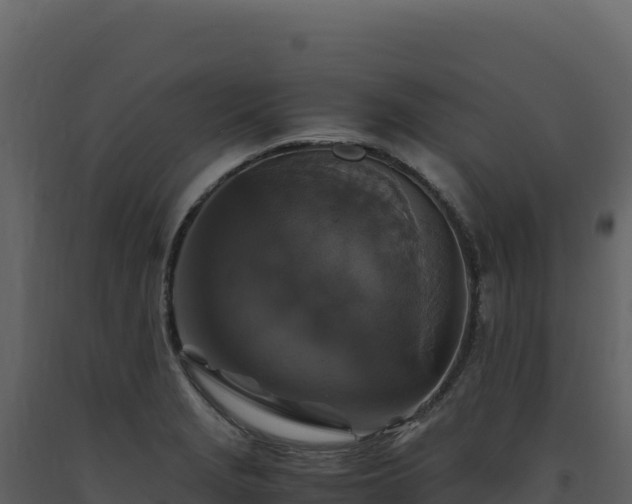 X0000093491229200710191220