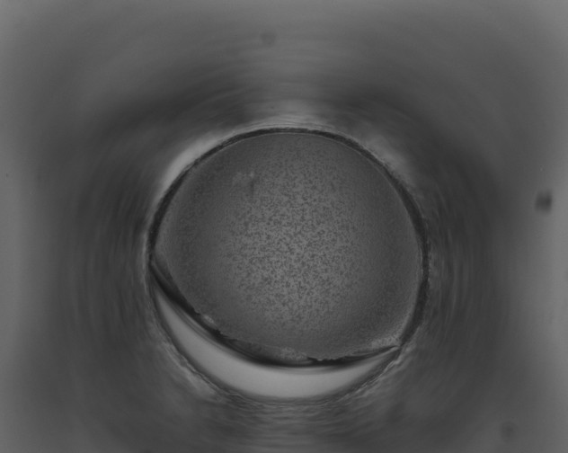 X0000093491230200710191220