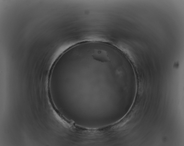 X0000093491231200710191220