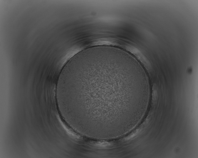 X0000093491233200710191220