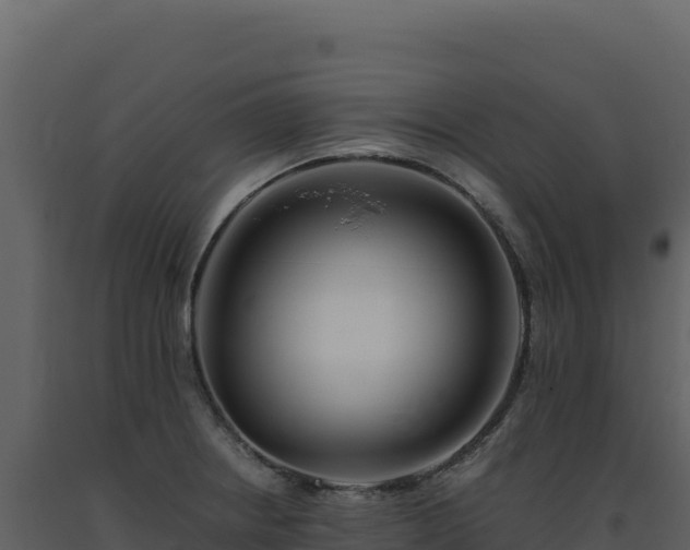X0000093491234200710191220