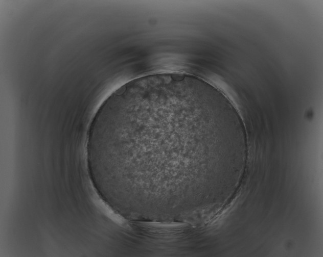 X0000093491235200710191220