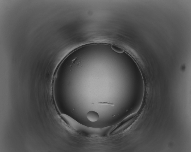 X0000093491236200710191220