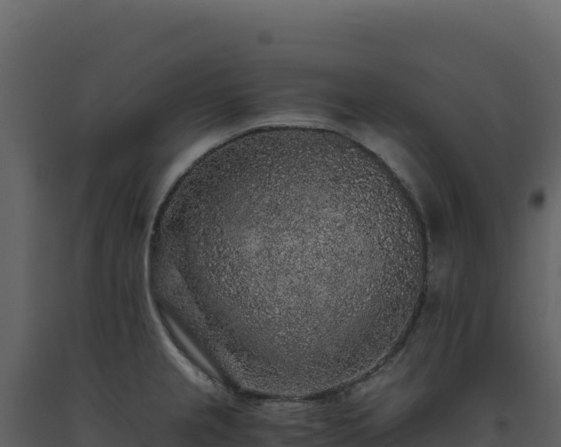X0000093491237200710191220