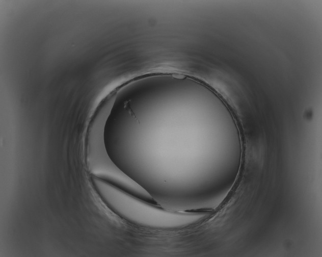 X0000093491238200710191220