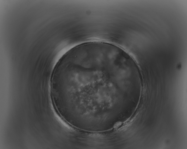 X0000093491239200710191221