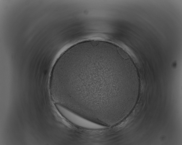 X0000093491240200710191221