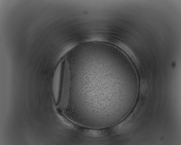 X0000093491241200710191221