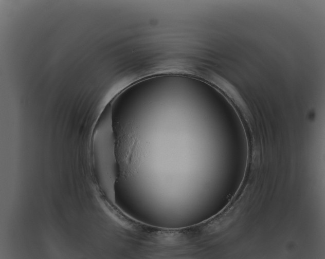 X0000093491242200710191221