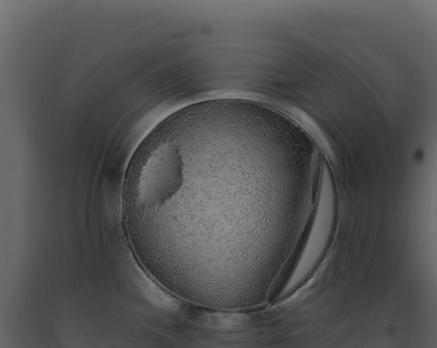 X0000093491244200710191221
