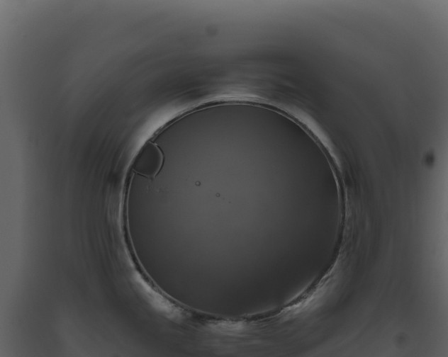 X0000093491245200710191221