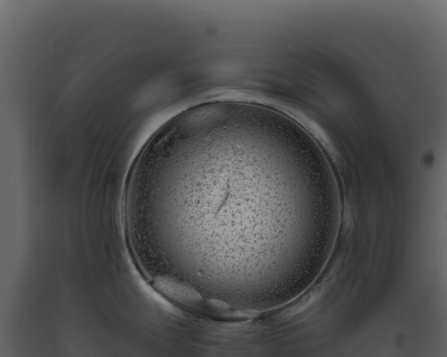 X0000093491247200710191221