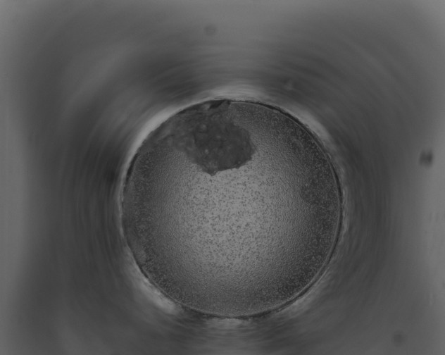 X0000093491248200710191221