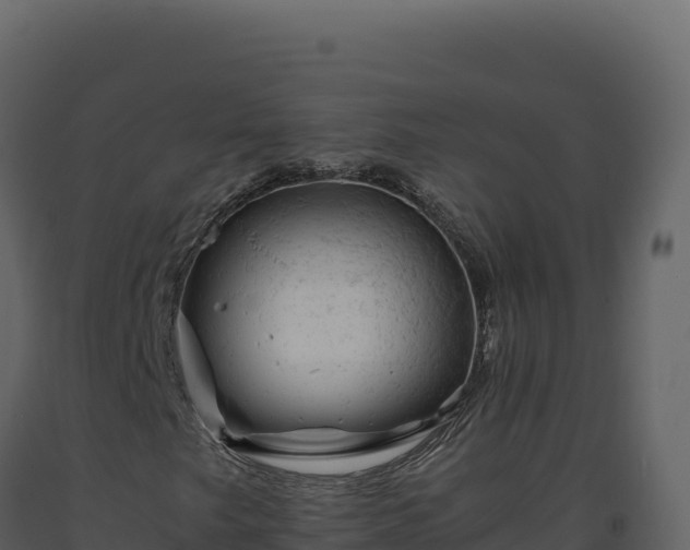 X0000093491249200710191220