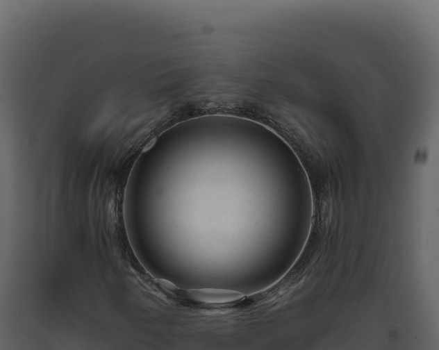 X0000093491250200710191220