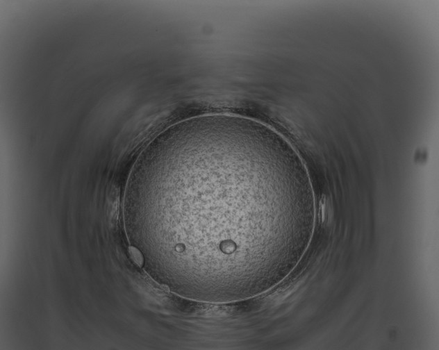 X0000093491251200710191220