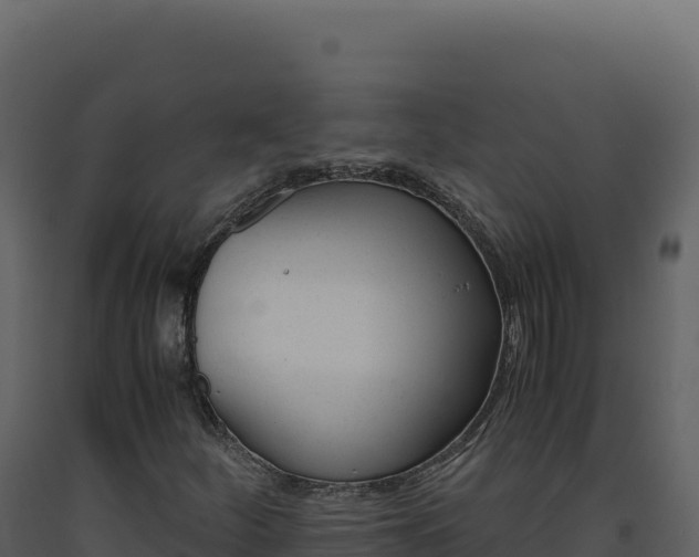 X0000093491252200710191220