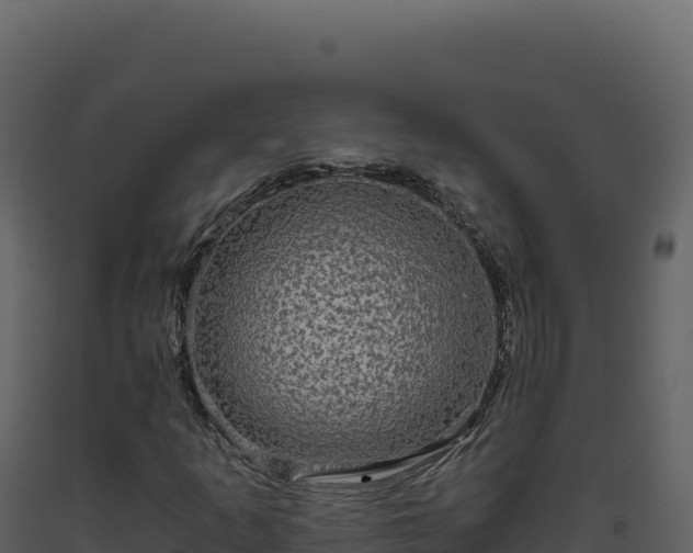 X0000093491253200710191220