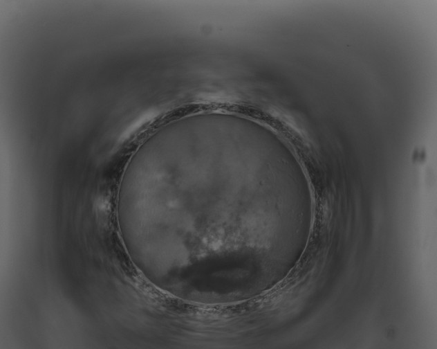 X0000093491254200710191220