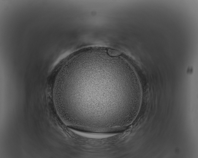 X0000093491255200710191220