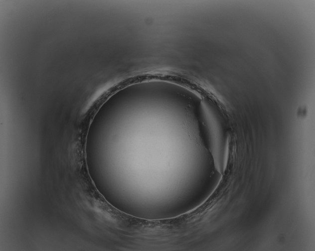 X0000093491256200710191220