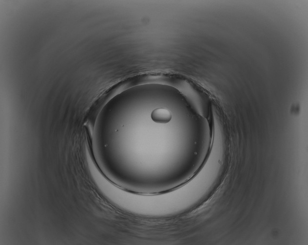 X0000093491257200710191220