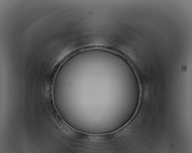 X0000093491258200710191220