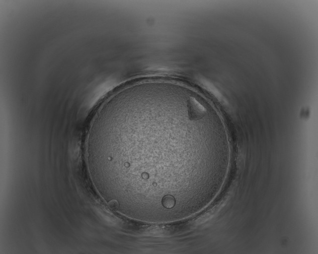 X0000093491259200710191220