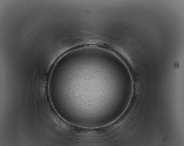 X0000093491260200710191220