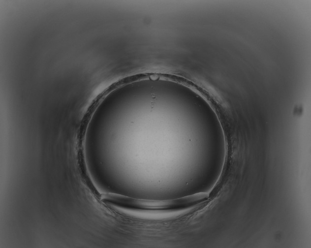 X0000093491264200710191220
