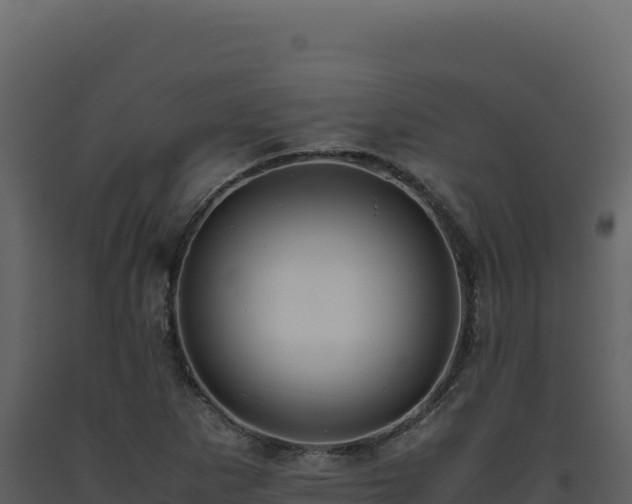 X0000093491265200710191220