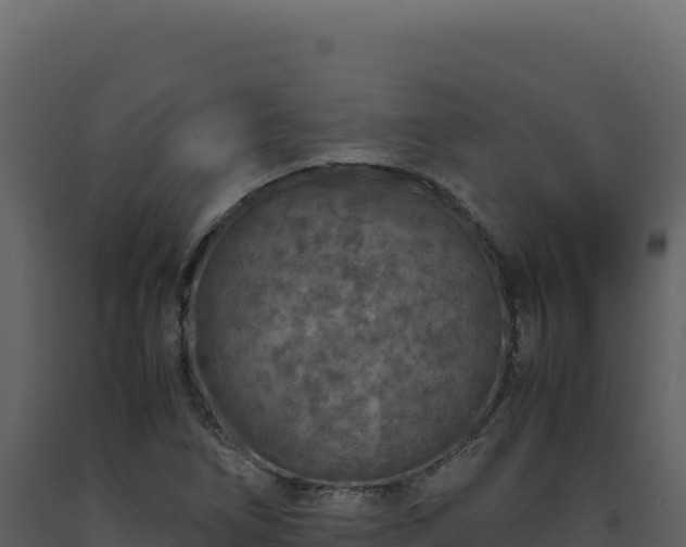 X0000093491266200710191220