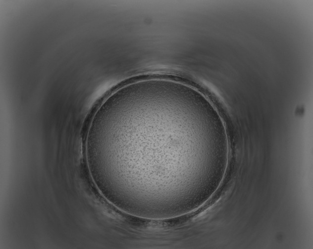 X0000093491267200710191220